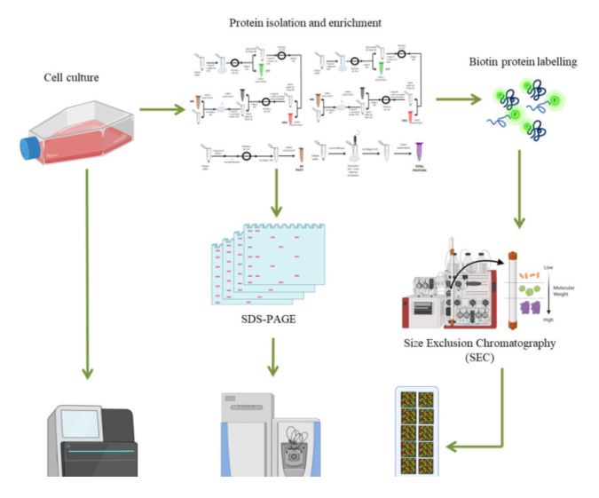 ArrayjetLtd's tweet image. Researchers from @usal and @CSIC are continuing in their quest to find ""missing proteins"...
#proteomics #transcriptomics #microarray