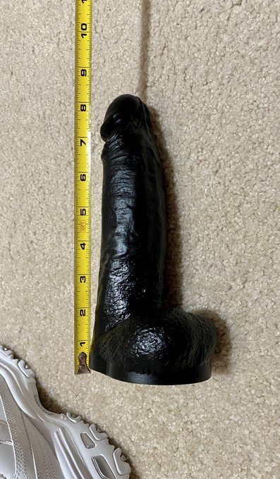 I got a new toy! What should I do with it? https://t.co/dCg6HxpmoH