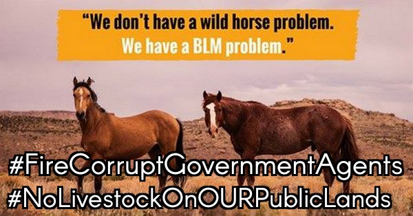 meliorist59's tweet photo. @TeriHall9999 @beverlynichols @SecDebHaaland @SecDebHaaland 
@POTUS 
@VP 
@FLOTUS 
@CaptMarkKelly 
#EnoughIsEnough 
#KeepWildWild
#SaveOurWesternEcosystemsNOW
#ResistanceUnited 
#VetsResist https://t.co/dCp8JqPU47