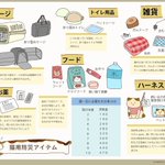 猫飼いの皆様、地震の備えは大丈夫ですか？あると便利な猫用防災アイテムまとめ!