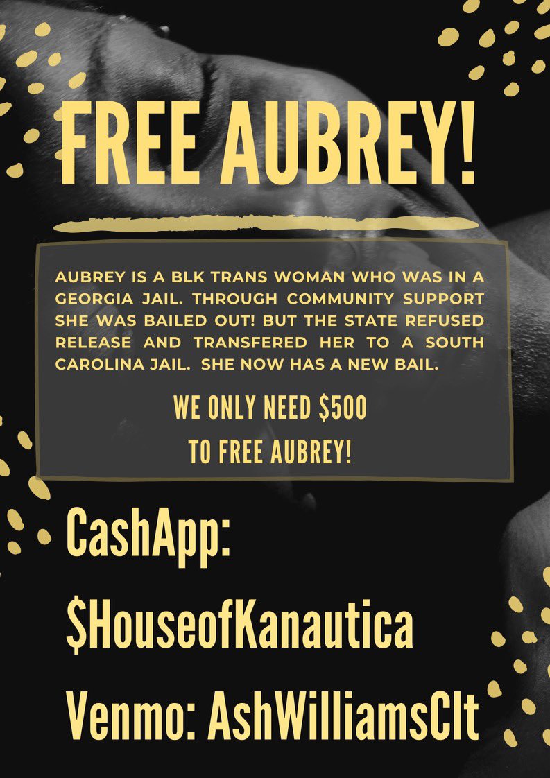 Yesterday the state of SC went to get Aubrey to incarcerate her in the Greenville jail bc of a probation violation she received while being in jail Georgia since October. $500 more will get her out of the Greenville jail. Last week we paid over 3K for the GA bail. Free Aubrey!!!