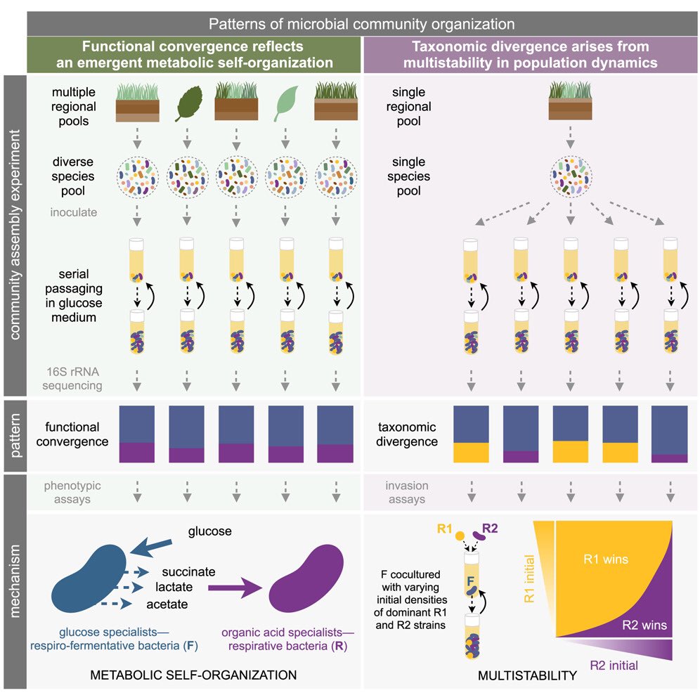 Akos T. Kovacs tweet media