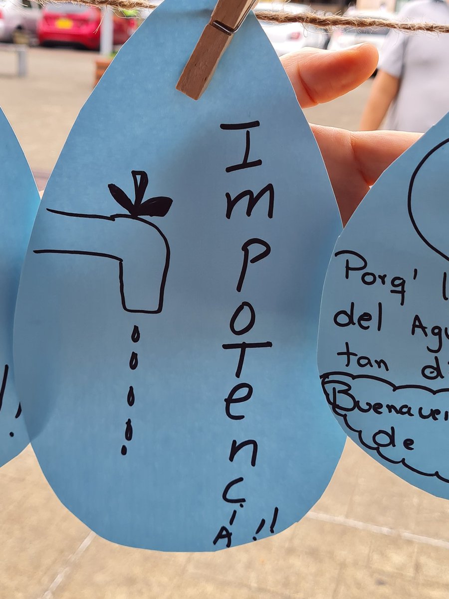 tatiana acevedo guerrero tweet media