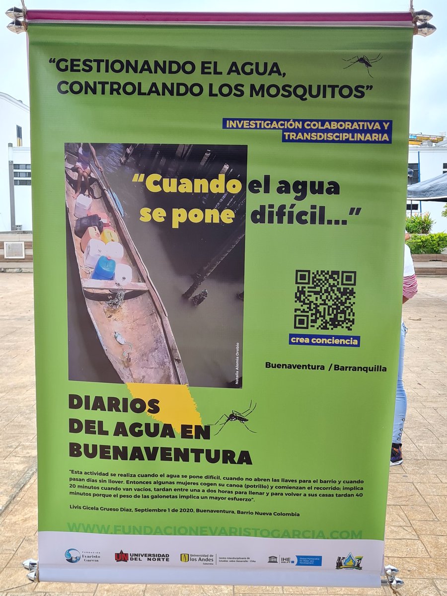 tatiana acevedo guerrero tweet media