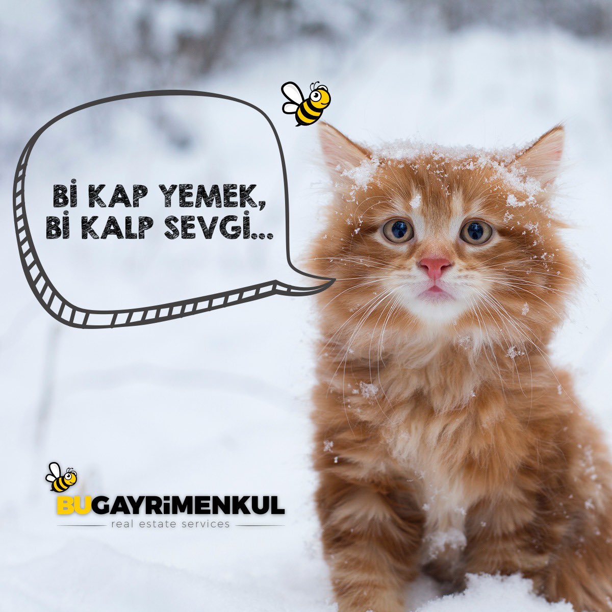 bu_gayrimenkul tweet picture