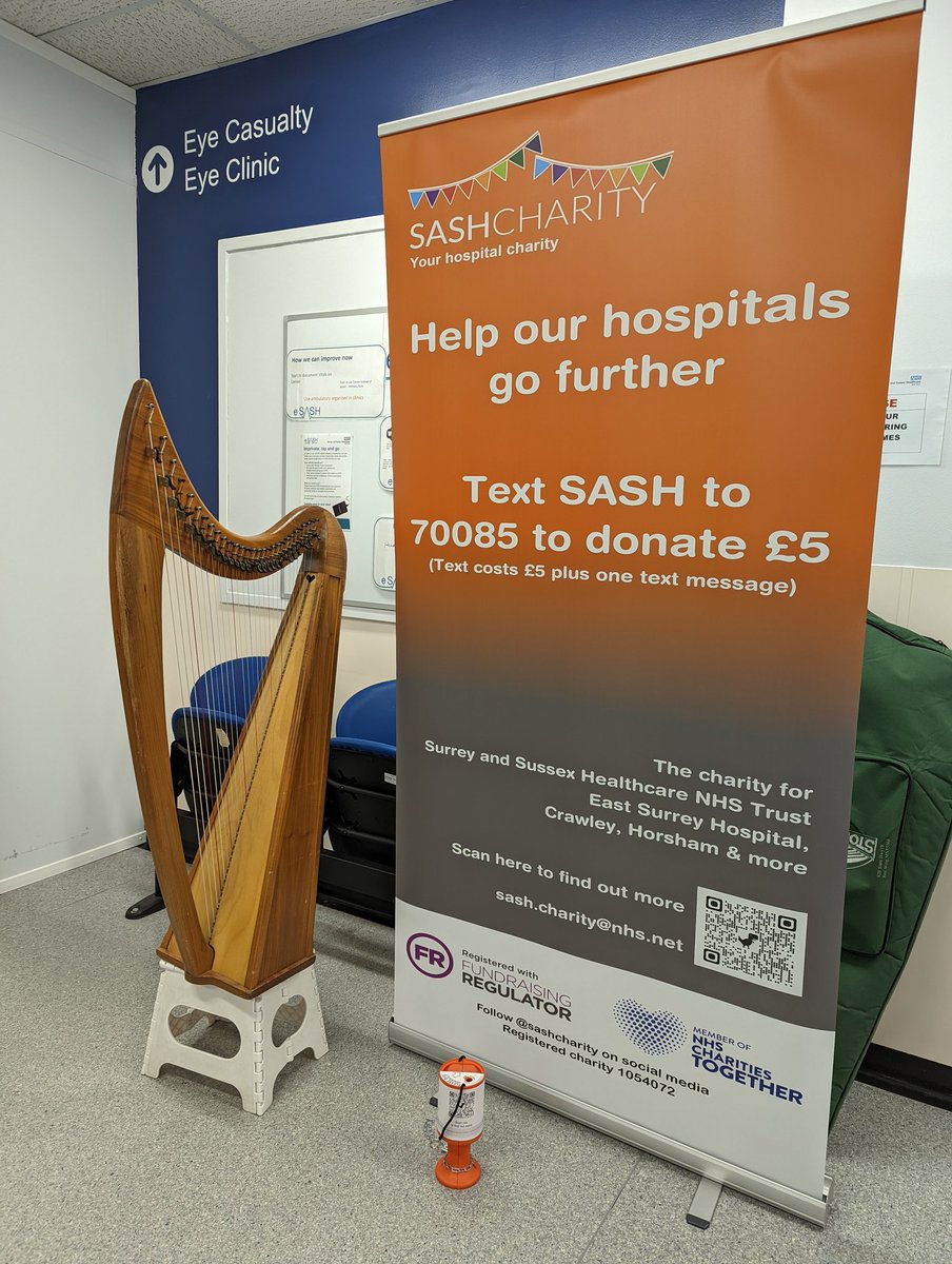 SASHCharity's tweet photo. Another pop up music session supported this morning. This time @MarkLevinHarp brightening up the main outpatient waiting area. We LOVE bringing music to unexpected places @sashnhs (and we aren't done yet...) #eastsurrey #nhs #wellbeing #surrey #sussex https://t.co/udbT1T6Mjq