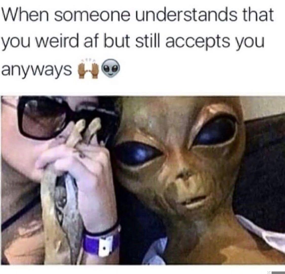 Davesvma's tweet photo. Just a “ little weird” 🤷‍♂️😁 https://t.co/y9uVAeU8Sg