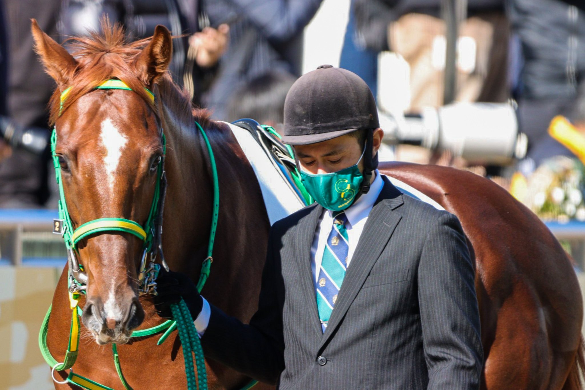 ちゃぼ 初めての競馬場に緊張しちゃったかな 姉にワンスインナムーン 兄にディバインコード 短距離で見てみたいなぁ 22 01 16 中山6r 3歳新馬戦 ホウオウノーサイド 斎藤誠 厩舎 齋藤新 騎手 チームホウオウ T Co Aprnzdggj2 Twitter