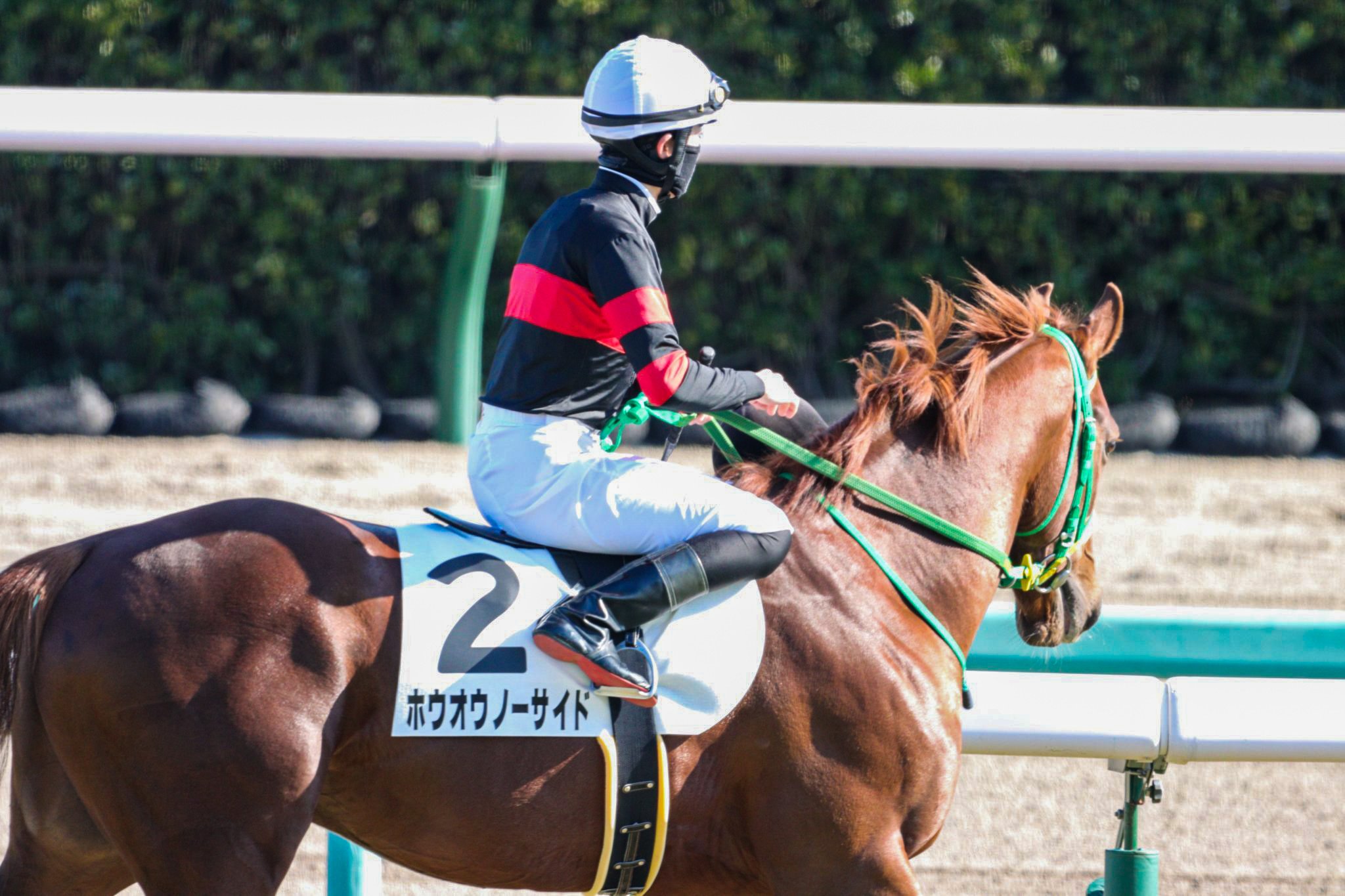ちゃぼ 初めての競馬場に緊張しちゃったかな 姉にワンスインナムーン 兄にディバインコード 短距離で見てみたいなぁ 22 01 16 中山6r 3歳新馬戦 ホウオウノーサイド 斎藤誠 厩舎 齋藤新 騎手 チームホウオウ T Co Aprnzdggj2 Twitter