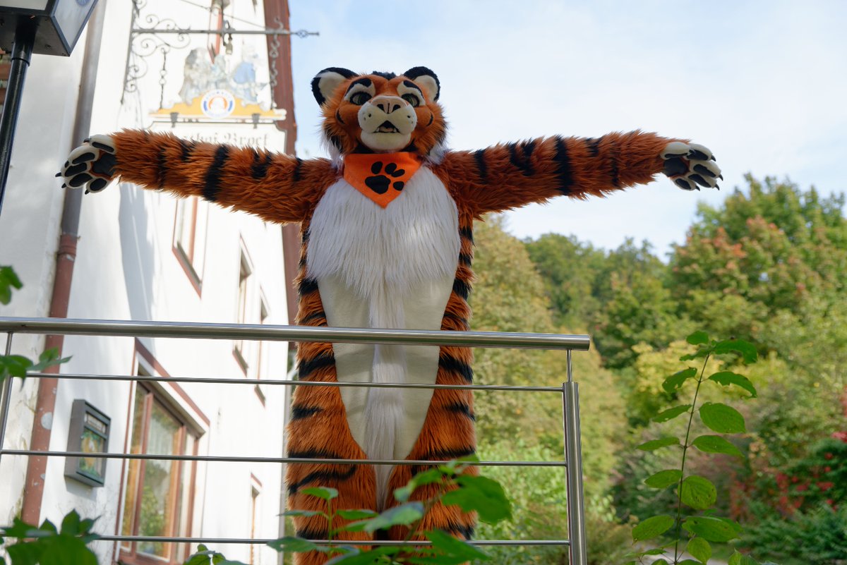 "I'm the king of the world" - or maybe at least enjoying the breeze going through my fur...
Happy #FursuitFriday everyone!

🪡 <a href="/AlphaDogsStudio/">Alpha Dogs</a>

(I honestly can't figure out who to credit for this picture)