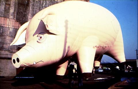 pinkfloyd's tweet photo. On this day in 1977, Pink Floyd released Animals in the UK. Unlike its predecessor, the album wasn't covered in black plastic, allowing everyone to see the striking cover image of Battersea Power Station, and a particular porker. 
https://t.co/vSeVrzcaC8 https://t.co/zOOKpZC2Le