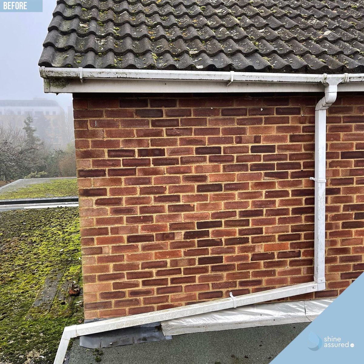 ShineAssured's tweet image. If your gutter soffits and fascia boards need cleaning then we get them gleaming 💦