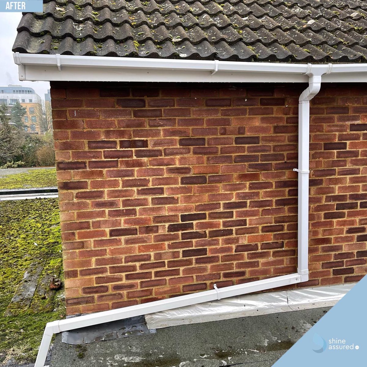 ShineAssured's tweet image. If your gutter soffits and fascia boards need cleaning then we get them gleaming 💦