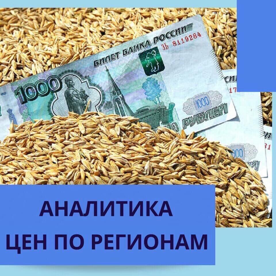 Agro.Club RUSSIA tweet media