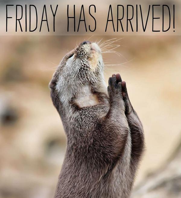 I didn't have an-otter joke today (groan)! Enjoy the weekend folks.
