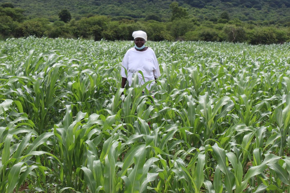 CGCDZ_OFFICIAL tweet media