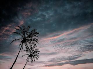 Jazz-funk favourites and soulful grooves for summer days, selected by The Smooth Operators (<a href="/professoreddy/">professor eddy</a> &amp; <a href="/martijnsoetens/">Martijn Soetens</a>).

Link: freshnunsigned.wordpress.com

#FnU #FreshnUnsigned #PressPlay▶ #MusicBlog #MixOClock #FridayMusic #GoodVibesOnly #Jazzuary #Jazz #Funk #Soul #ChillOut