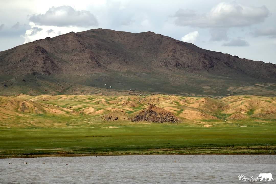 Аргалын галд борцтой шөл буцалгасан усан бороотой зунаа, нутгаа санаж байна.