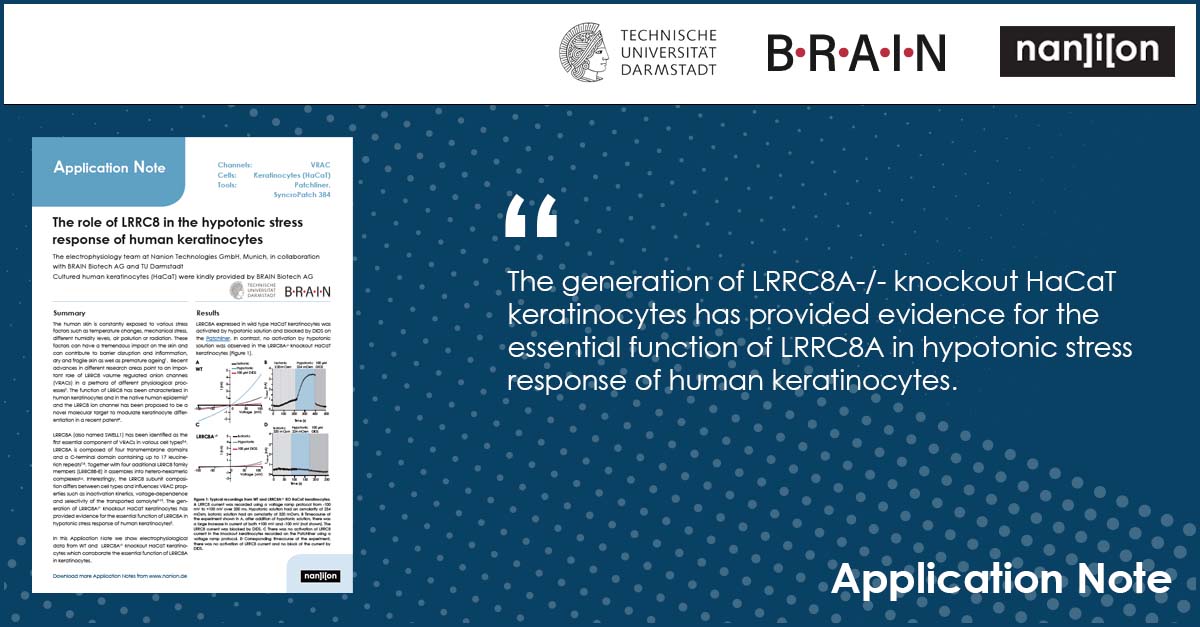 NanionTech's tweet photo. 𝗙𝗿𝗲𝗲 𝗔𝗽𝗽𝗹𝗶𝗰𝗮𝘁𝗶𝗼𝗻 𝗡𝗼𝘁𝗲: The role of LRRC8 in the hypotonic stress response of human keratinocytes
@BRAINbiotech @TUDarmstadt
Download here: https://t.co/0sgNF1y1iC
#ionchannels #patchclamp #APC #VRAC #keratinocytes #hypotonic #LRRC8 https://t.co/oUYx4XWnGb