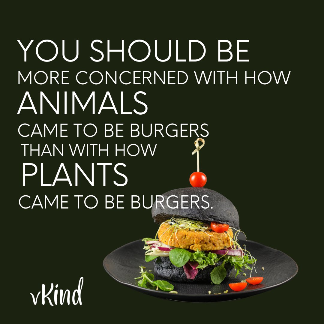 vkindapp's tweet photo. Comment YES if you agree!
#vkind #tryplants #eatvegan
#veganlife https://t.co/o2HT9fIQZZ