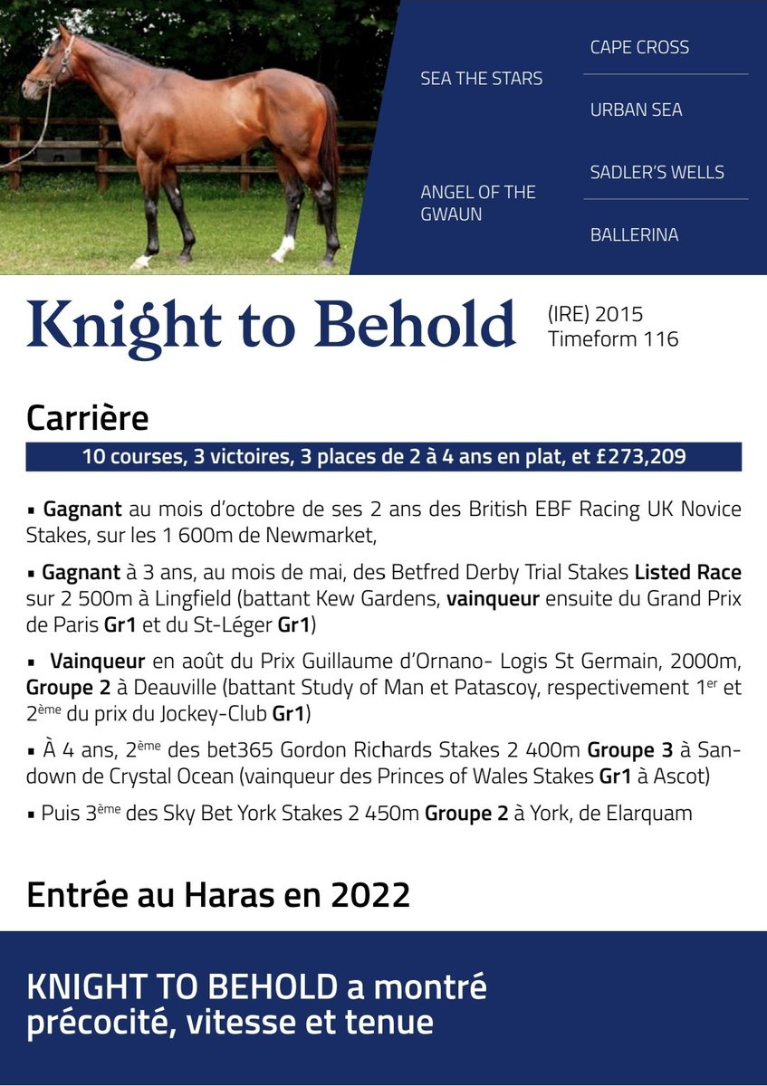 Un etalon de grande classe au <a href="/HarasdeBuzancy/">Haras de Buzancy</a>