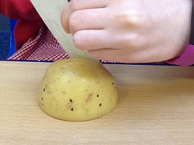 Year 4 used potatoes to create their own mountains with contour lines around them. As part of their landscape topic, they learnt how contours show how steep a mountain or hill is. It involved measuring the contour lines carefully, combining their geography and maths skills.