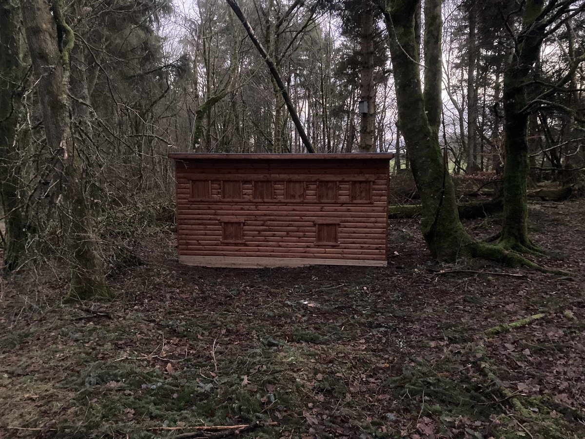 argatyredkites's tweet photo. New woodland photo hide is here! Designed for 6 photographers, with purpose built shelves &amp; floor hatches, this lovely spot will be open very soon… we just need to get the red squirrels and birds used to it! #NaturePhotography #nature #photography @KirkyCameraClub @ThePhotoHour https://t.co/8qw7cR9OmG
