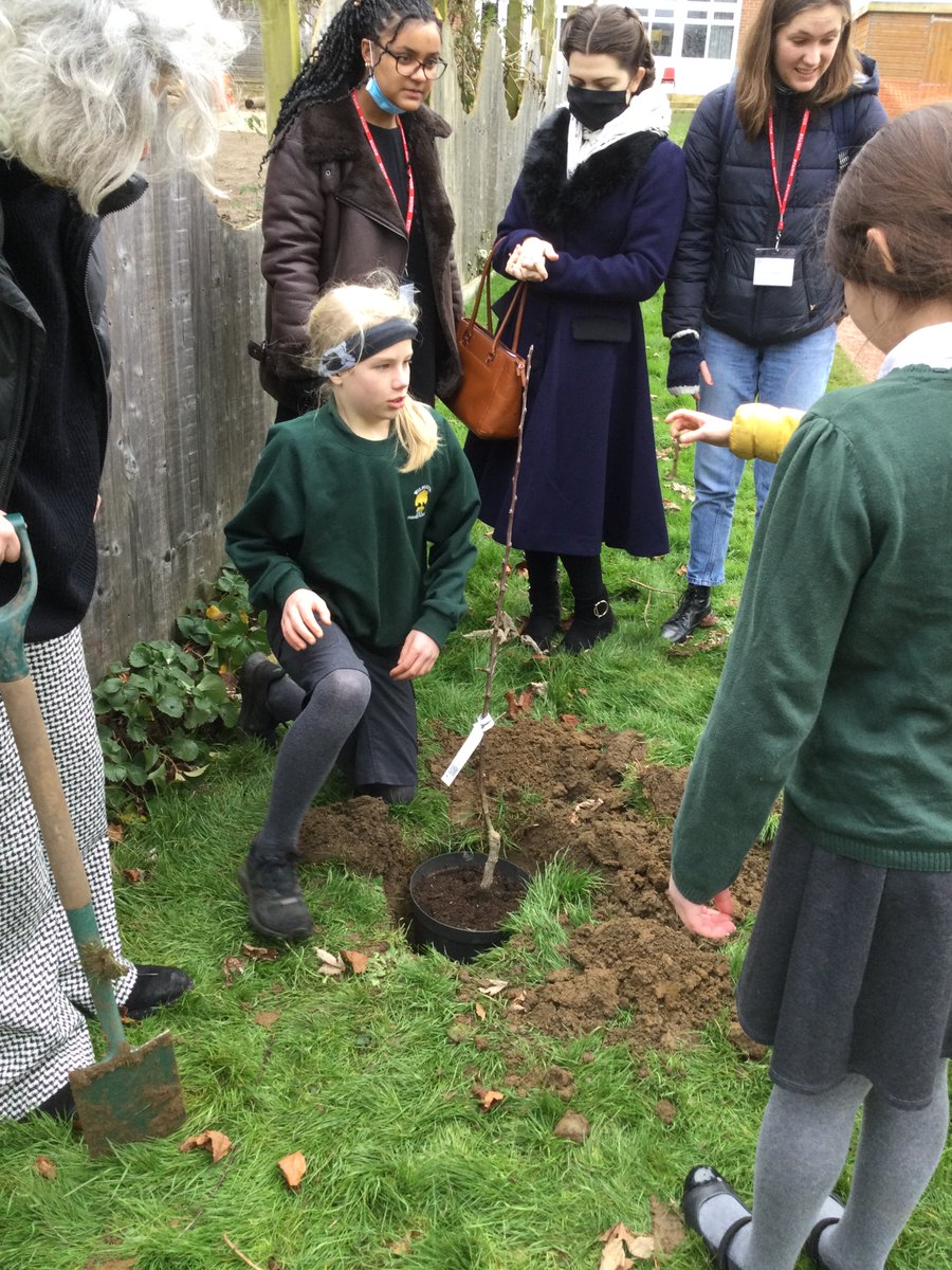 Wilburton C of E Primary tweet media