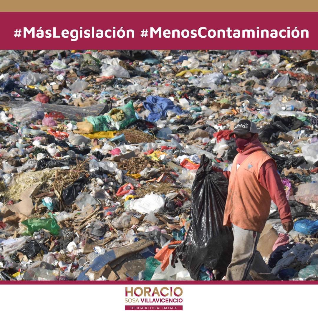 ¡Feliz viernes! ☀️
Sigamos construyendo leyes que protejan a nuestro medio ambiente.