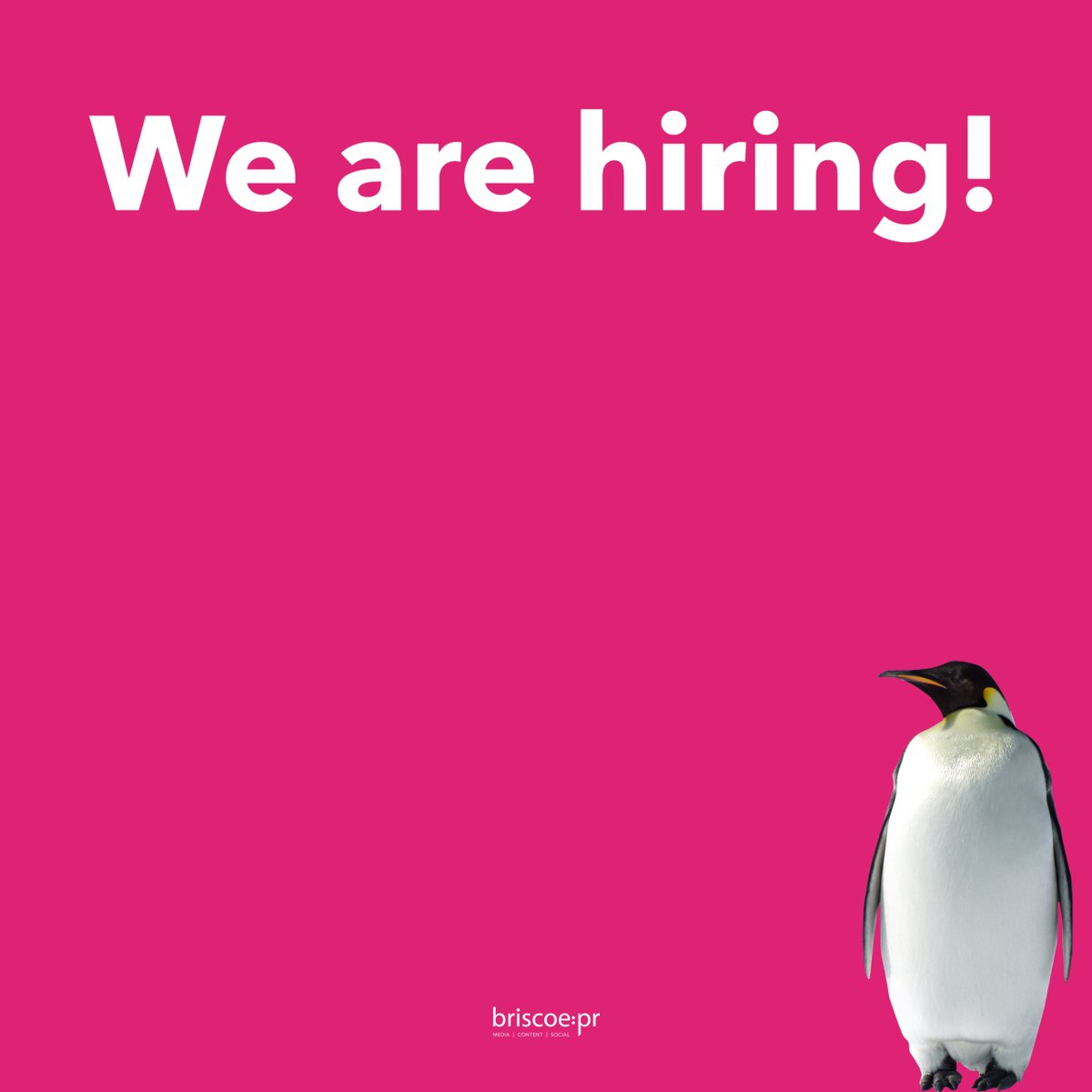 BriscoePR's tweet photo. 👀 We are looking for an Account Manager to join us! 👀 

See here for details: https://t.co/ZjEzmCtCuA

#pragency #wearehiring #publicrelations #vacancy #socialmediaagency #accountmanager #briscoepr https://t.co/VUHYufl4pN
