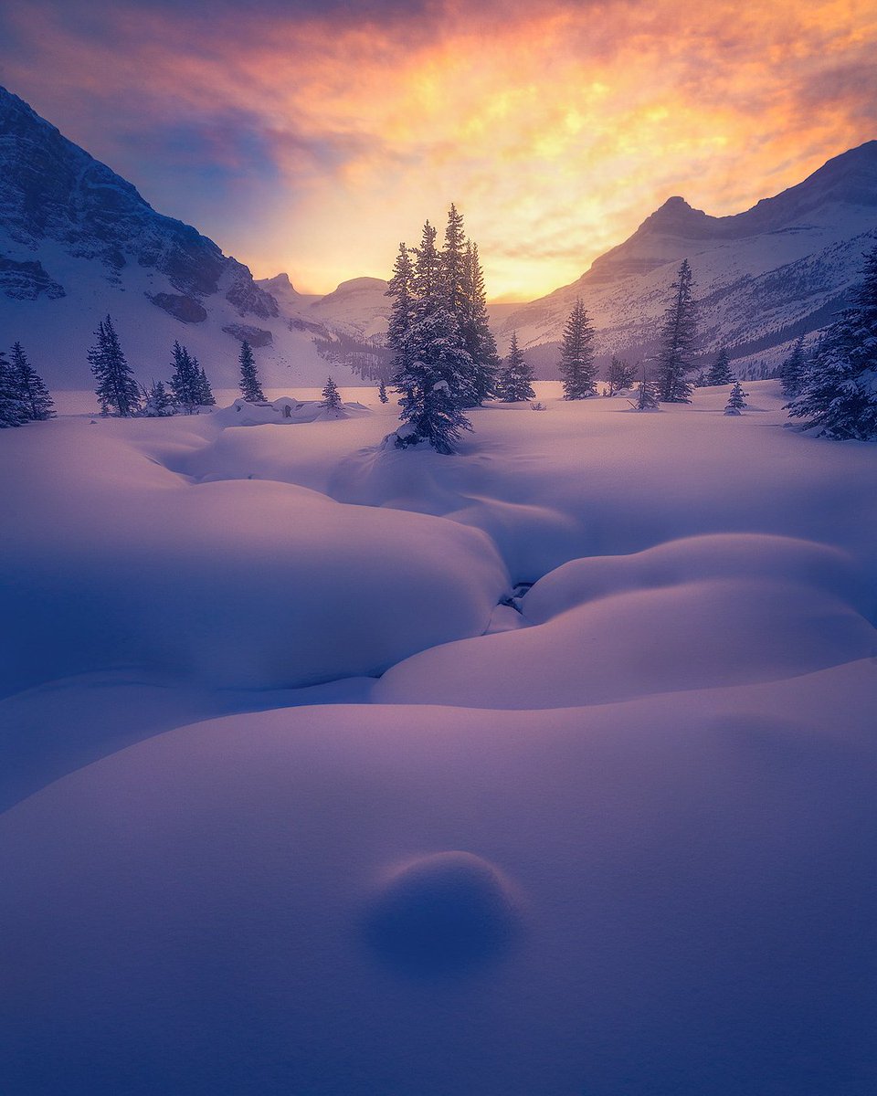 Colandovisions's tweet photo. GM frens ☕

Been on a bit of a hiatus for personal reasons. But Ive missed you guys! Twitter has really given me a fresh start. I really want to dive into this community head first this year and unlock my potential in this space! Hope everyone has an incredible day! 💙🙏 https://t.co/jFDYU2QN4H