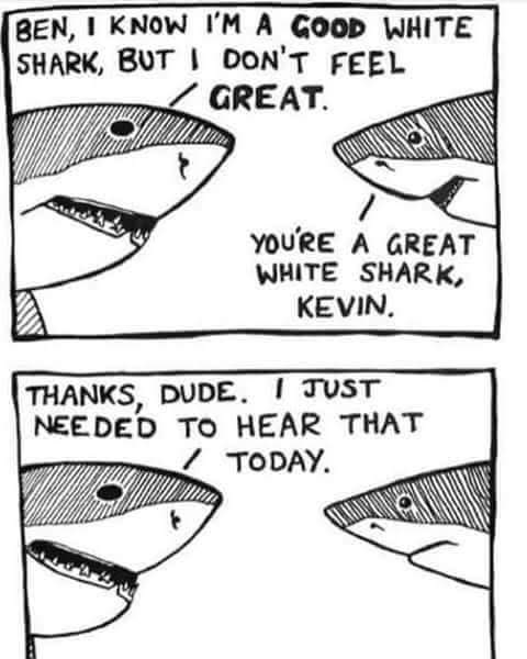 nalgazaki's tweet image. Me muevo para flotar, avanzar y vencer a la corriente.