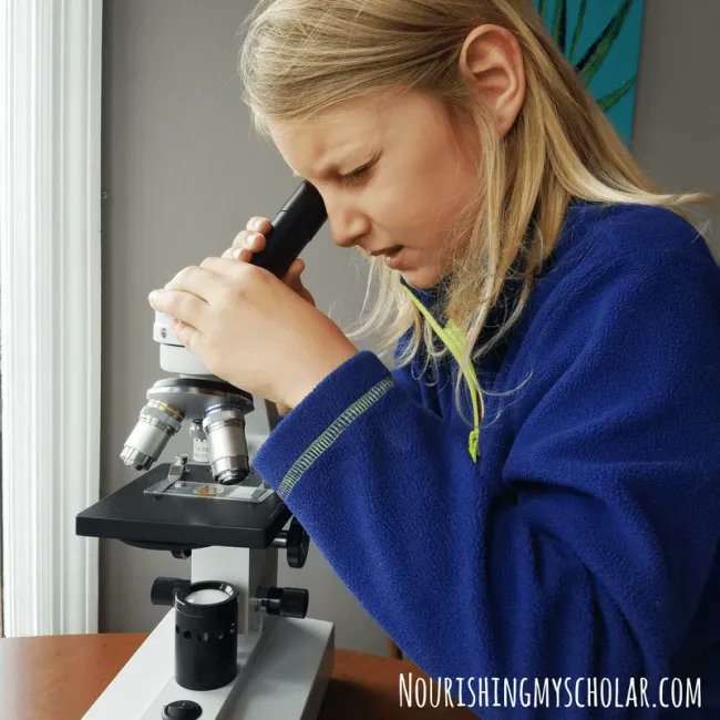 Backyard Biology: Insects for Kids <a href="/HSTools/">Home Science Tools</a> #homeschool #homeschooling #science #handson #ihsnet   buff.ly/2M9nBOQ