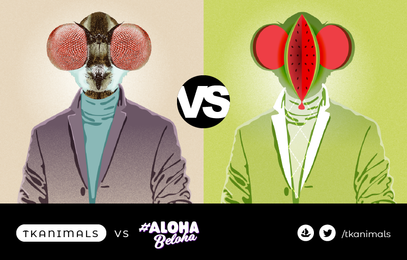 _ab83_'s tweet photo. Friday battle • Who win • Your vote 🗳️
#tkanimal FP 0.01 $ETH
https://t.co/yNjy2IQWQZ
>>> VS <<<
https://t.co/R5Ao9mV1DQ
#AlohaBeloha FP 0.005 $ETH
#NFTCommunity #NFTs #nftcollector https://t.co/xYYFGyvkaO