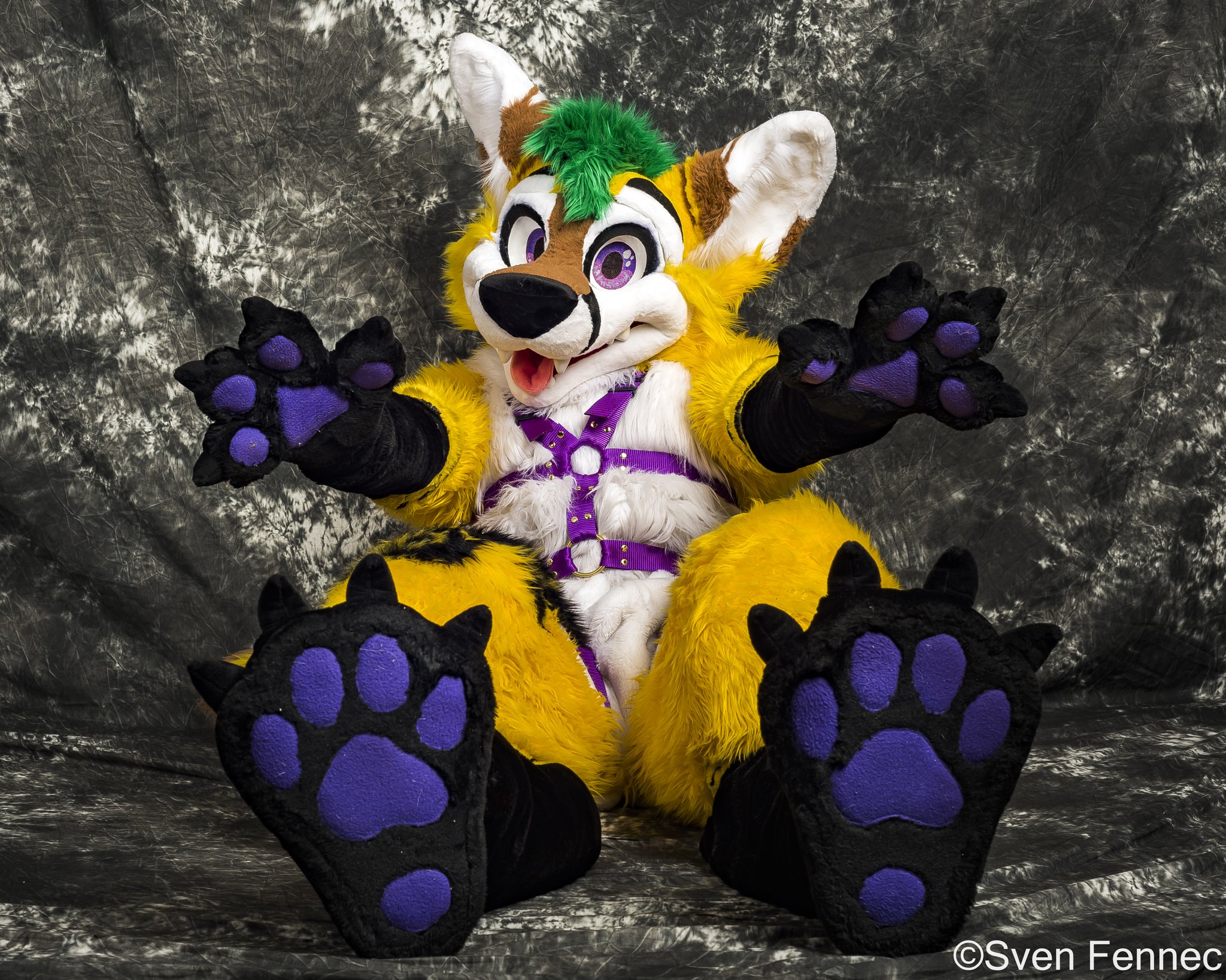 Fennec Fox Fursuit