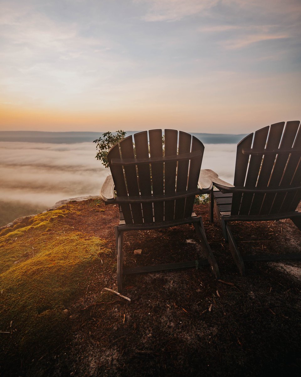 BRITAIN BENNETT tweet media