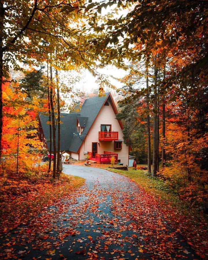 Eliane 💜 (@advogata2018) on Twitter photo 