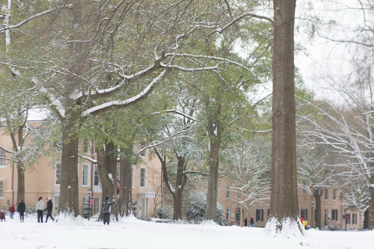 UofSC tweet picture