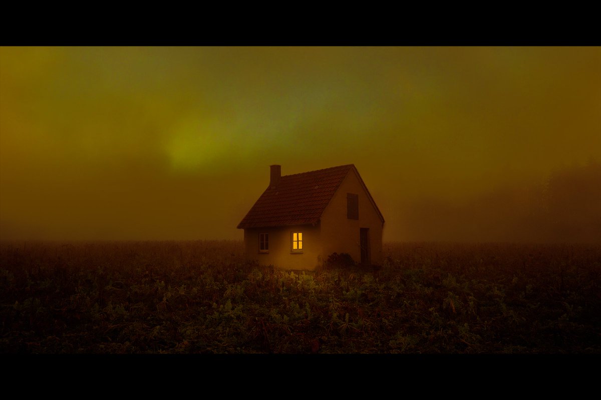 Audrey Marquis tweet media