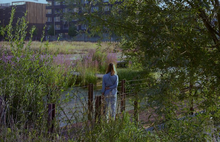 Heureux d'avoir participé ce matin au nom de <a href="/MartineAubry/">Martine Aubry</a> à la remise du Label @EcoQuartiers étape 4 pour le projet des "Rives de la Haute Deûle" à #Lille #Lomme
Une distinction qui salue les engagements tenus pour la #villedurable, la #mixitésociale, la #nature et le #climat