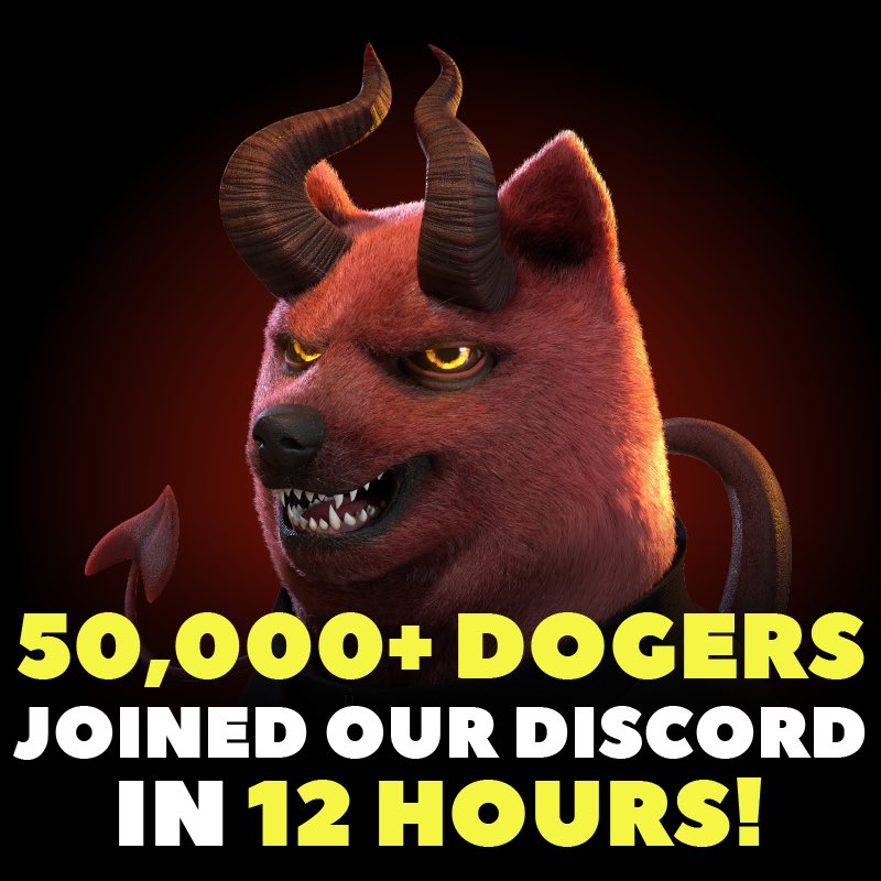 boredogeclub's tweet photo. In less than 12 hours, more than 𝟱𝟬,𝟬𝟬𝟬+ 𝗗𝗢𝗚𝗘𝗥𝗦 joined our Discord channel!😱

We are very grateful for all the support and for the cohesion that already exists between all the Dogers.

Join our Discord to BECOME A 𝗗𝗢𝗚𝗘𝗥 !
https://t.co/GjNOggdkJi https://t.co/RI3HlRr1nQ