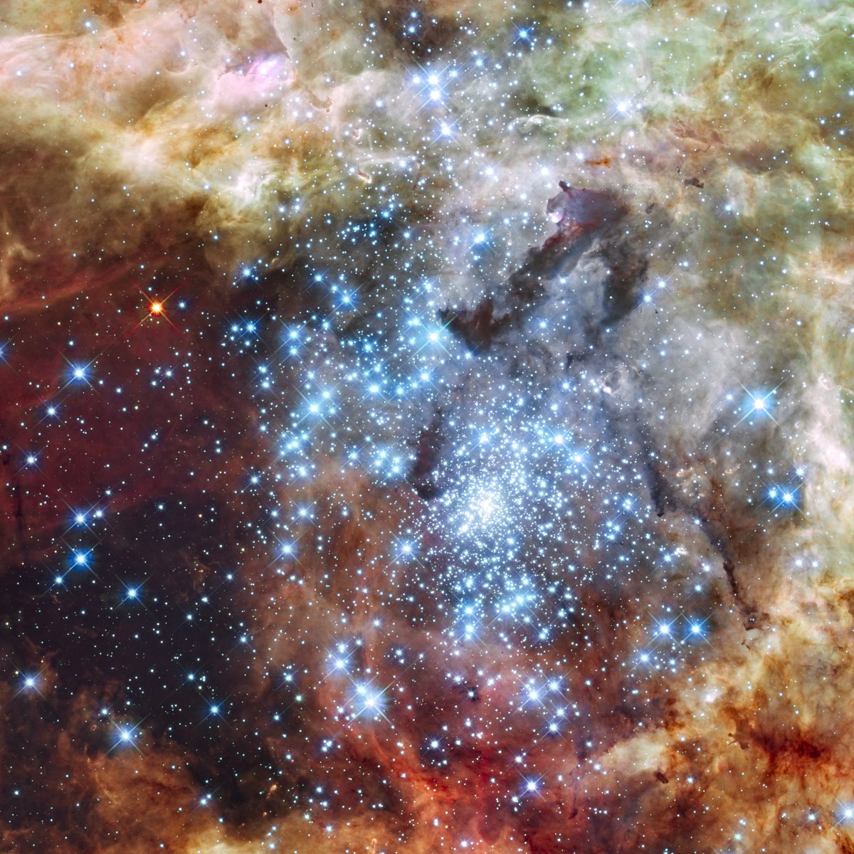 SpaceTelescope's tweet photo. "I wish I may, I wish I might, understand the stars that shine at night!"
It seems the more we stargaze, the more there is to know. #NASAWebb will be an outpost, 1 million miles away, searching the stars for answers to our biggest questions: https://t.co/ZqzQLr4X3d #WebbScience https://t.co/UPY7iQGXkS