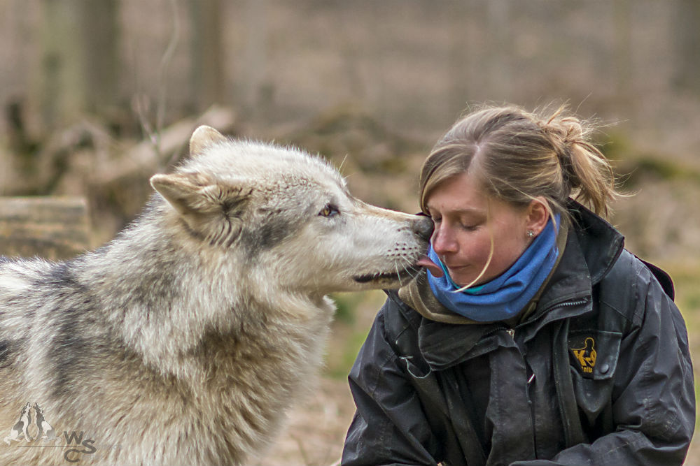 HourlyWolves presents: