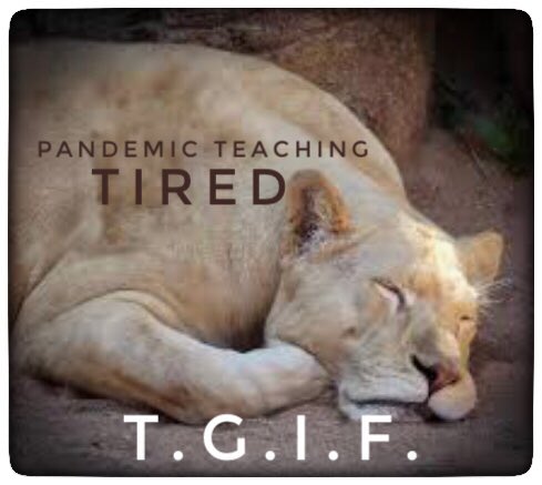 There is no tired like pandemic teaching tired!

THANK YOU teachers, substitutes, principals &amp; school staff for keeping things afloat across a brutal pandemic landscape. A January like no other. #TGIF #abed #edchat #abpoli #ableg #yeg #yyc #edutwitter #COVID19AB #bced #education