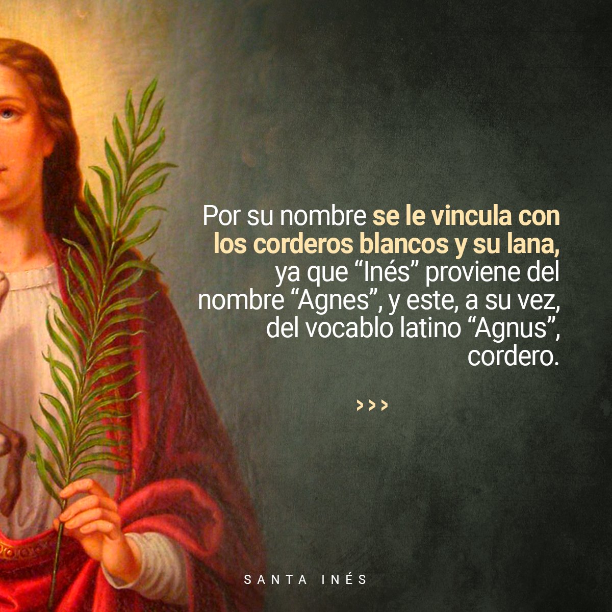 ElSembradorESNE's tweet image. Santa Inés, mártir de la pureza, patrona de las jóvenes y las novias. Un gran ejemplo para las jóvenes cristianas en su perseverancia y fortaleza de la fe.
#SantaInés #mártirdelapureza #mártir #pureza #fe #santoral #devoció #inés #jóvenes #novias