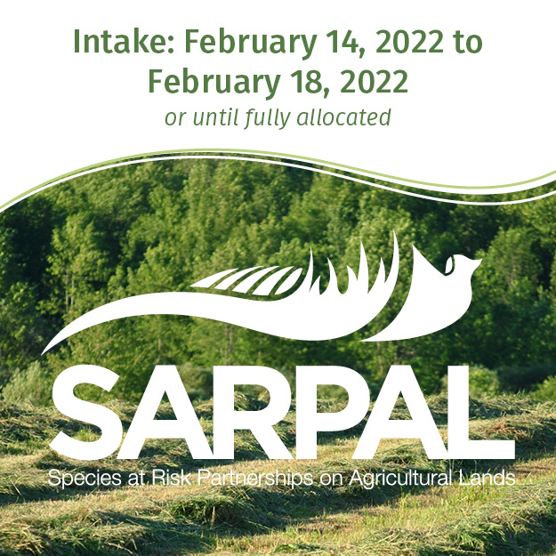#OntAg the 2022 #SARPAL Program has been announced! Applications will be accepted starting on Feb 14 @ 9am until Feb 18 @ 5 PM EST or until funds are fully allocated!  cutt.ly/zIqItNx  #SpeciesAtRisk
