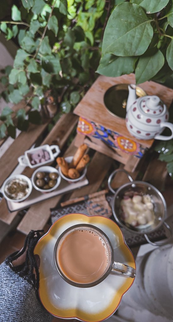 2017Vactory's tweet image. عشوائيات الشتويه