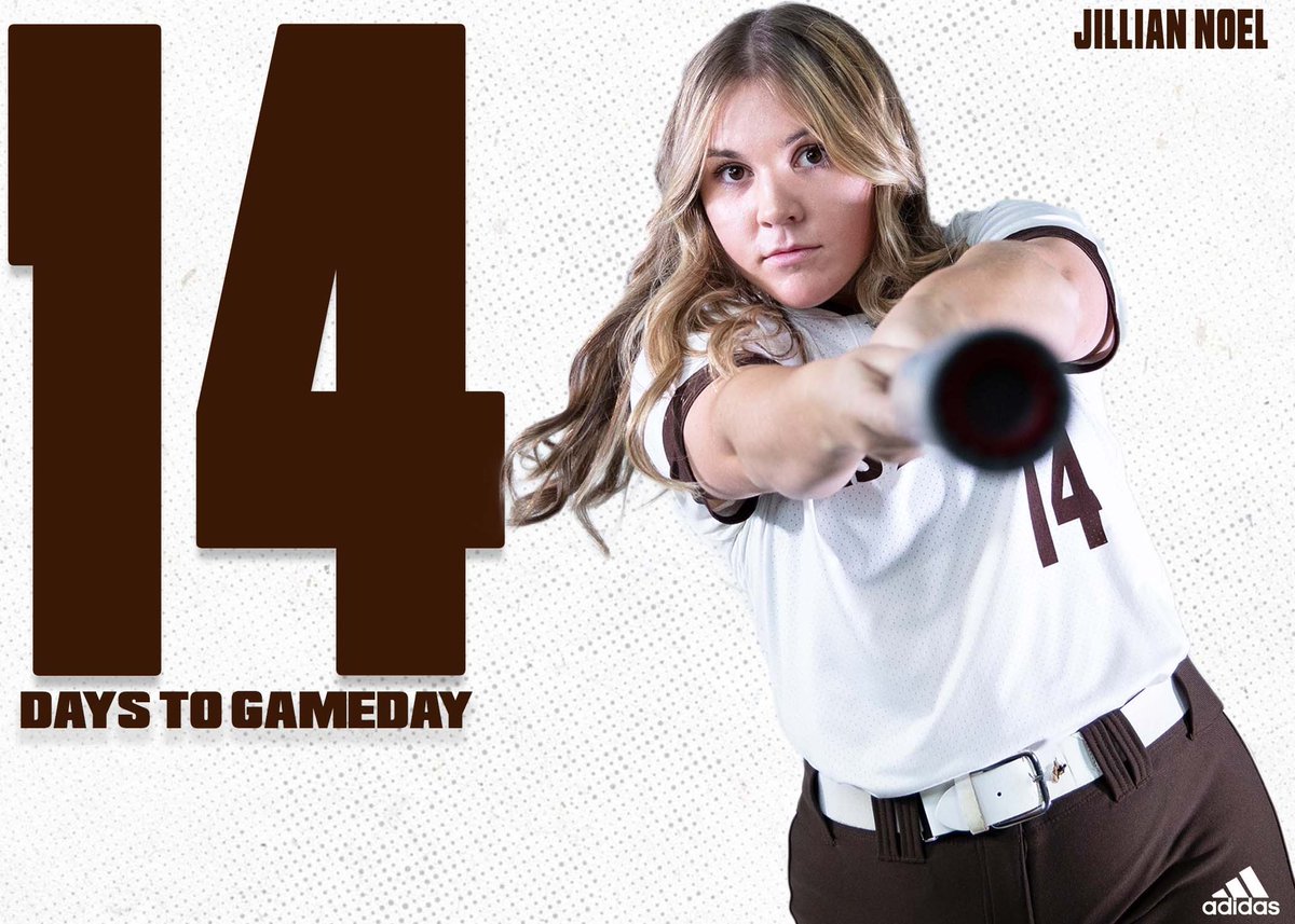 SMSU Softball tweet media