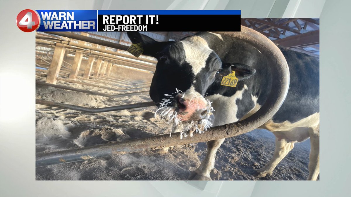 mikecejka4's tweet photo. HOW COLD IS IT? Jed says it was -10 at #FreedomNY. We had a report from a viewer at #FriendshipNY of -20. Yikes! Stay warm out there. We're here until 10:00 am on CW23. @News4Buffalo WakeUp! #4WarnWeather https://t.co/TYTSBSs3DI
