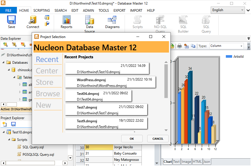 NucleonSoftware's tweet image. Database Master 12, out now!